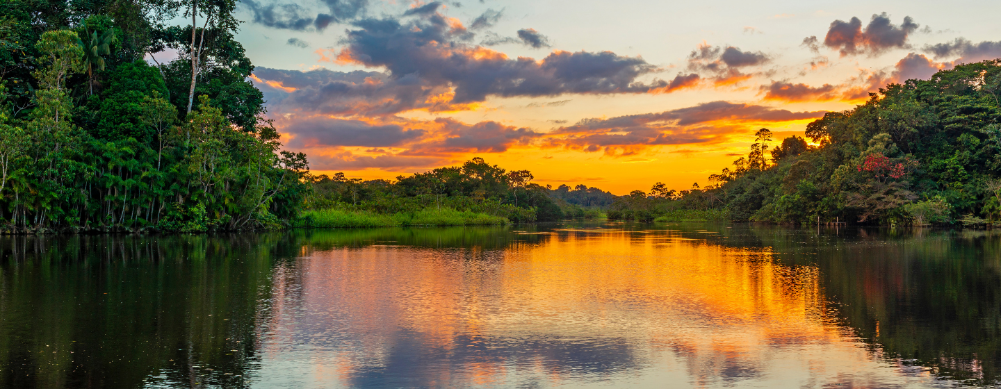 Estas viendo actualmente 10 Motivos para visitar Manaus y la selva amazónica